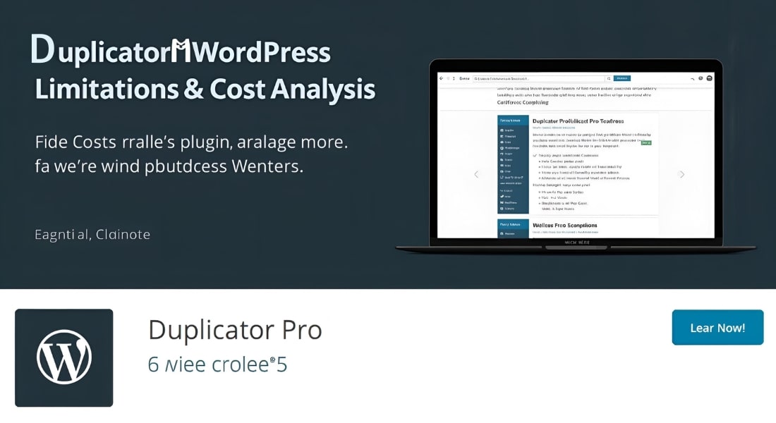 Limitations and Cost Analysis