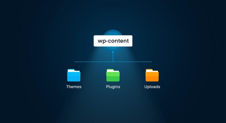Pinpointing the Primary Operational Zone: The wp-content Directory
